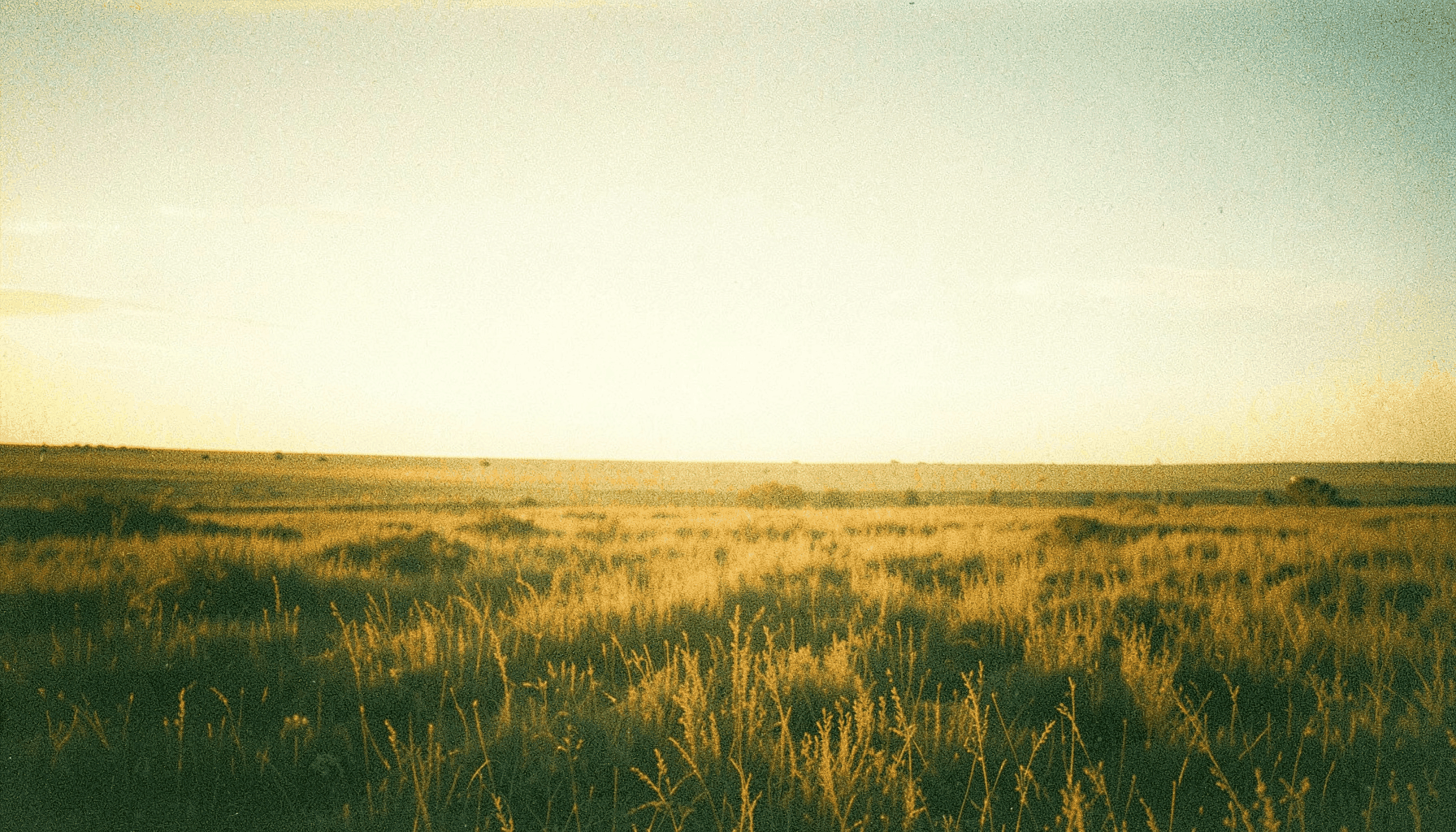 A wide, grainy film photograph of open prairie under a vast sky at sunrise, soft golden light spilling across dry grasses.