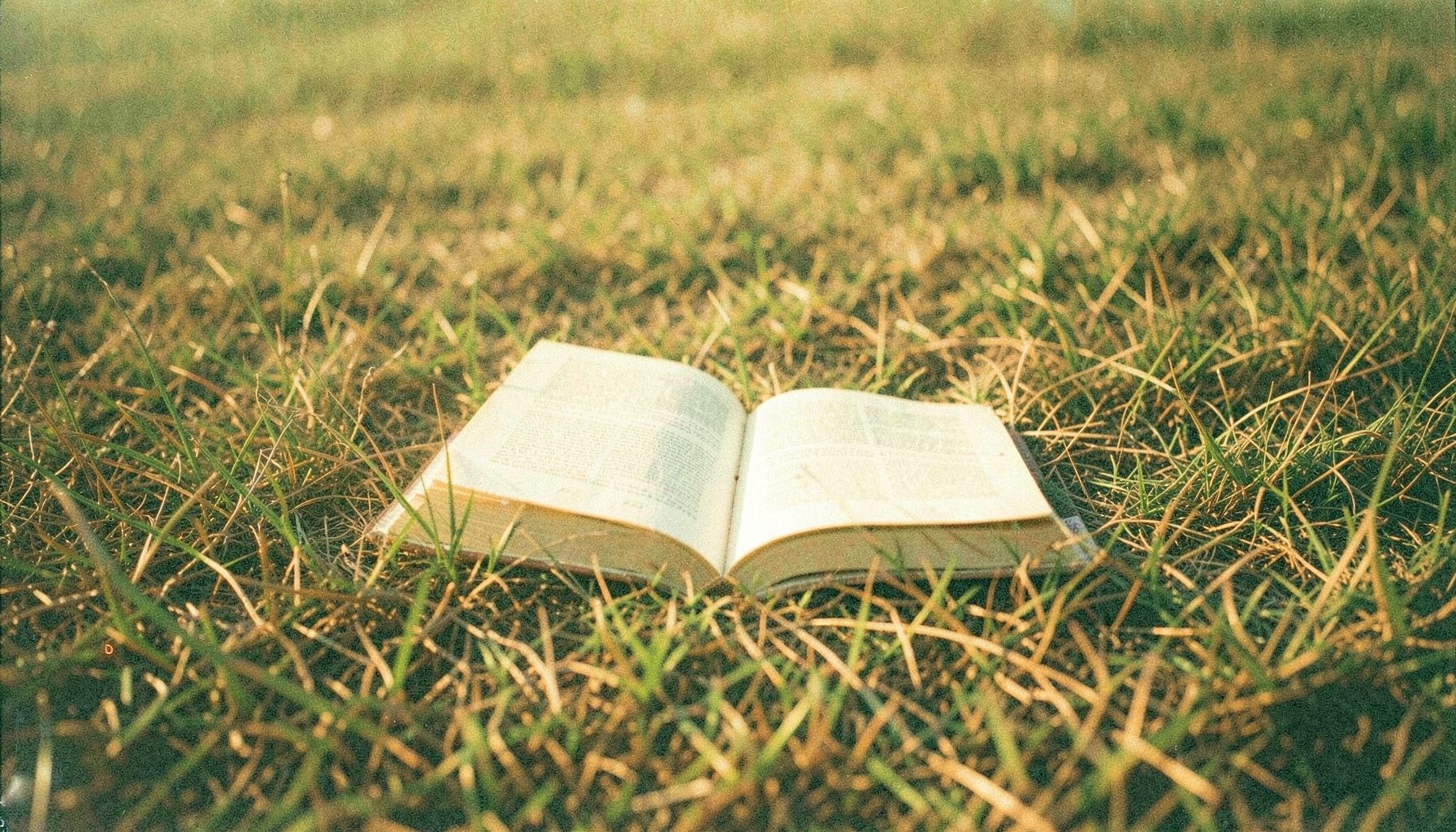 A grainy analog film photograph of an open book resting on a patch of dry prairie grass under soft late-afternoon sunlight.